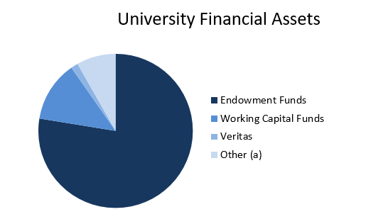 university-financial-assets